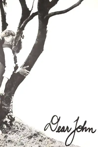 Poster for Dear John