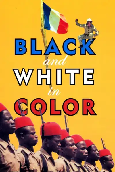 Poster for Black and White in Color