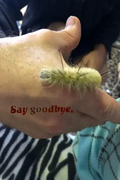 Poster for Say Goodbye
