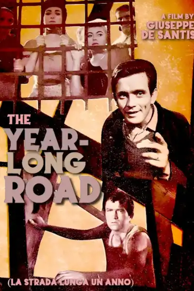 Poster for The Year Long Road