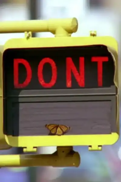 Poster for Don't