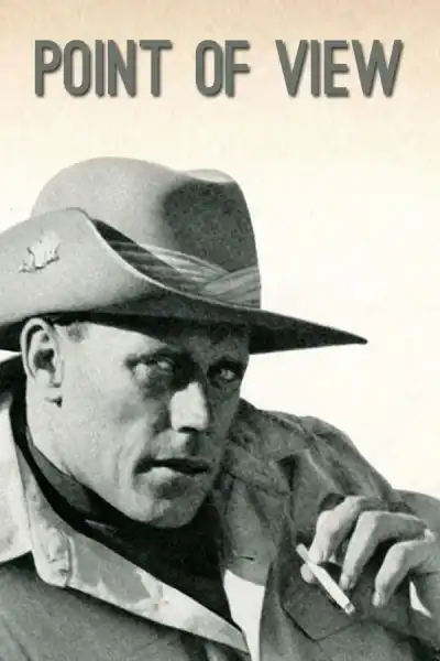 Poster for Point of View