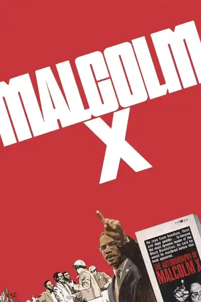 Poster for Malcolm X