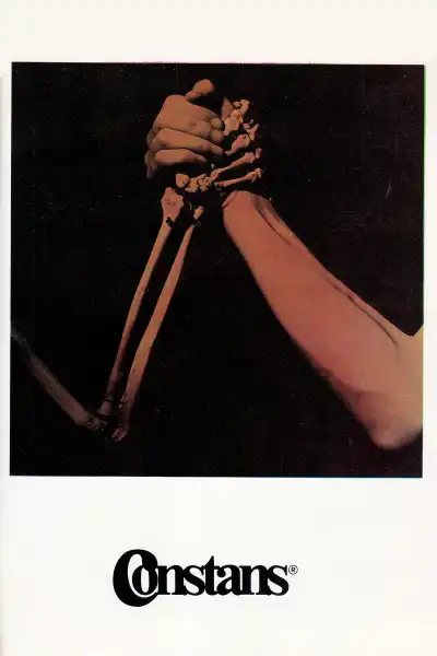 Poster for The Constant Factor