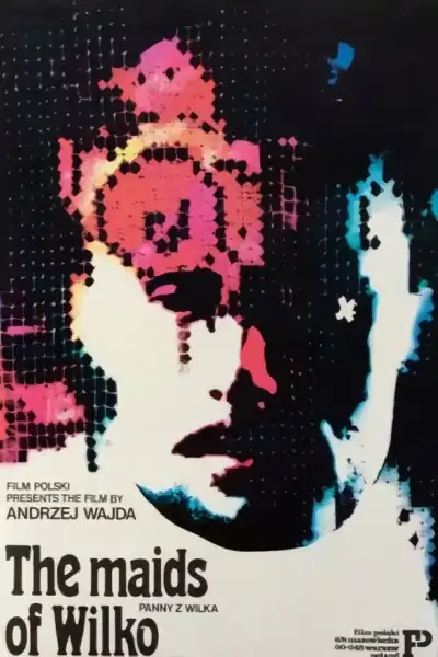 Poster for The Maids of Wilko
