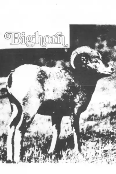 Poster for Big Horn