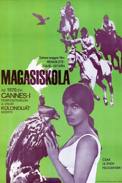Poster for The Falcons