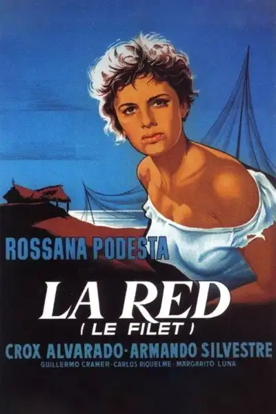 Poster for The Net