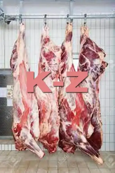 Poster for K-Z