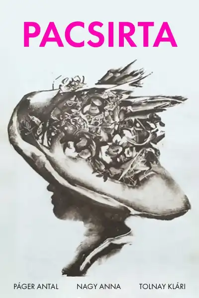 Poster for Pacsirta