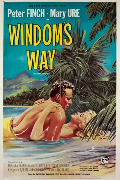 Poster for Windom's Way